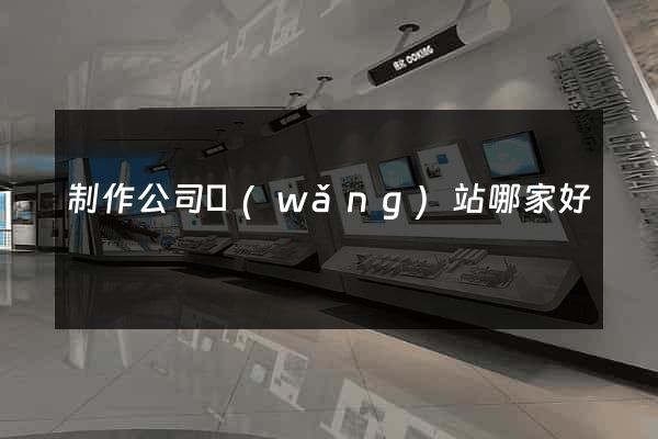 制作公司網(wǎng)站哪家好