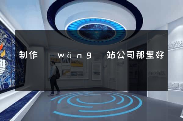 制作網(wǎng)站公司那里好
