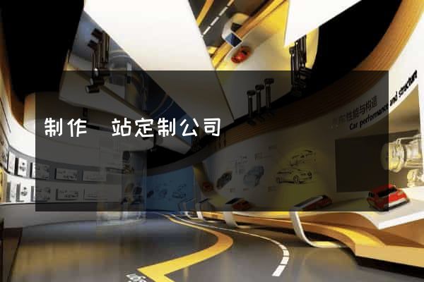 制作網站定制公司