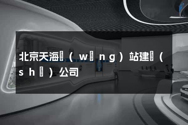 北京天海網(wǎng)站建設(shè)公司