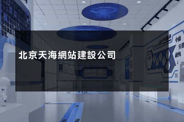 北京天海網站建設公司