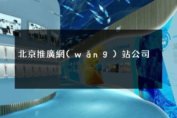 北京推廣網(wǎng)站公司