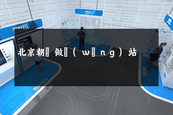 北京朝陽做網(wǎng)站
