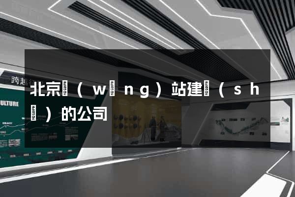 北京網(wǎng)站建設(shè)的公司