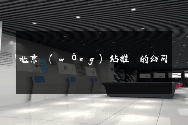 北京網(wǎng)站推廣的公司