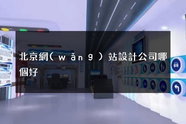 北京網(wǎng)站設計公司哪個好