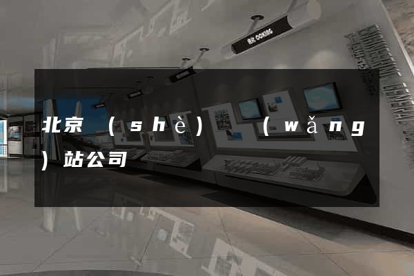 北京設(shè)計網(wǎng)站公司