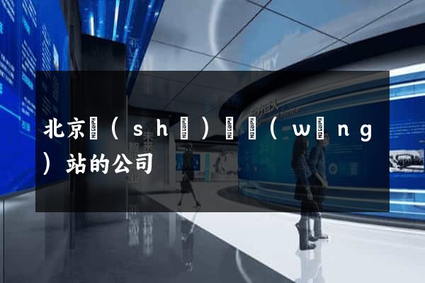 北京設(shè)計網(wǎng)站的公司