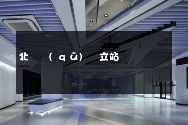 北侖區(qū)獨立站運營
