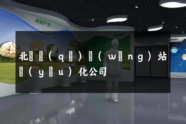 北侖區(qū)網(wǎng)站優(yōu)化公司