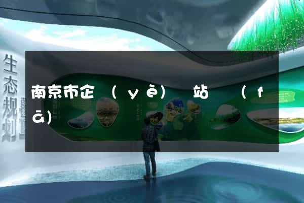 南京市企業(yè)網站開發(fā)