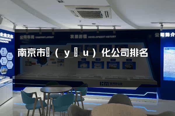 南京市優(yōu)化公司排名