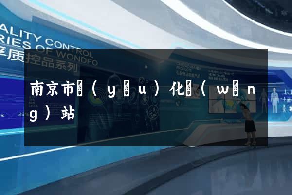 南京市優(yōu)化網(wǎng)站