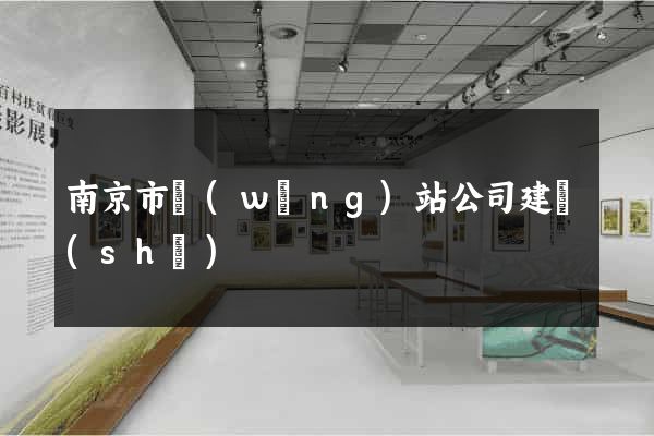 南京市網(wǎng)站公司建設(shè)