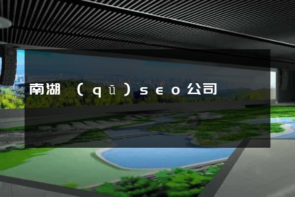南湖區(qū)seo公司