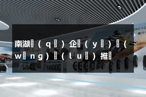南湖區(qū)企業(yè)網(wǎng)絡(luò)推廣