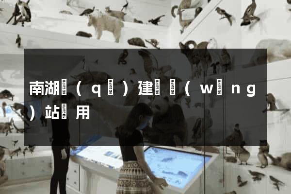 南湖區(qū)建個網(wǎng)站費用