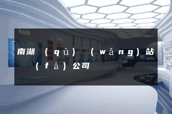 南湖區(qū)網(wǎng)站開發(fā)公司