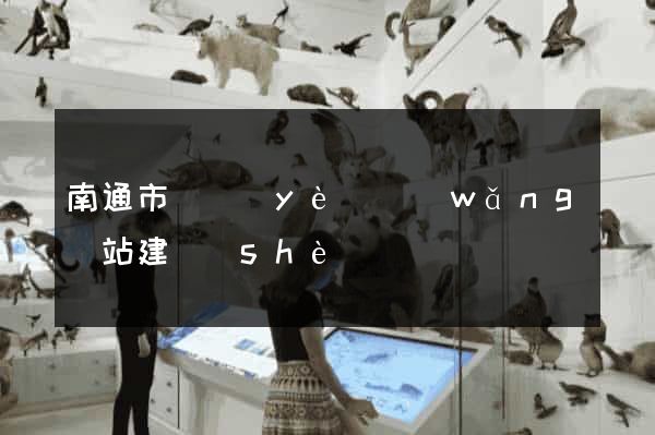 南通市專業(yè)網(wǎng)站建設(shè)