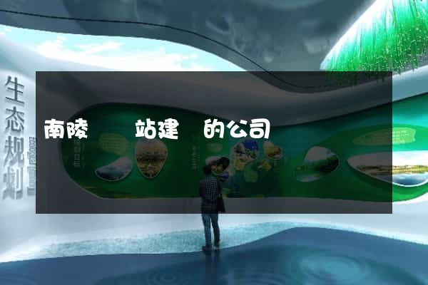 南陵縣網站建設的公司