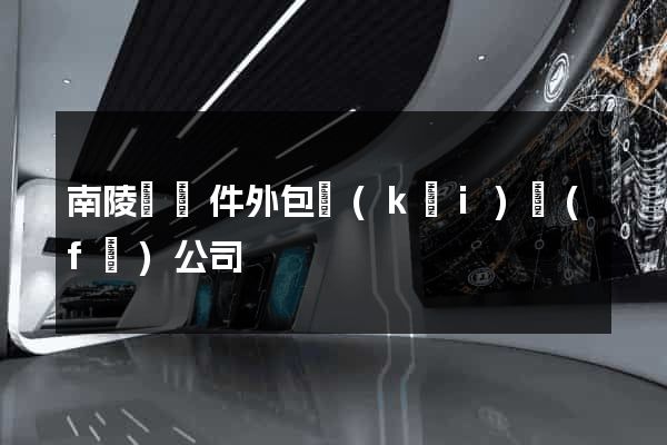 南陵縣軟件外包開(kāi)發(fā)公司