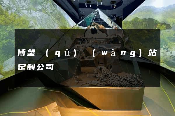 博望區(qū)網(wǎng)站定制公司