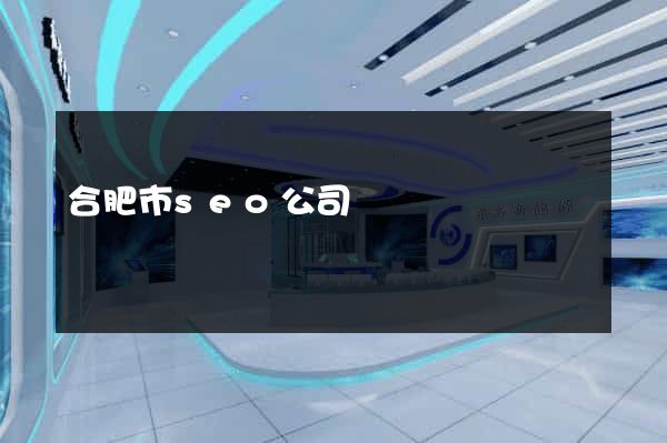 合肥市seo公司