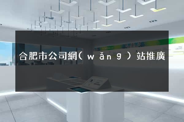 合肥市公司網(wǎng)站推廣