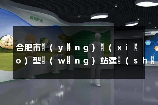 合肥市營(yíng)銷(xiāo)型網(wǎng)站建設(shè)