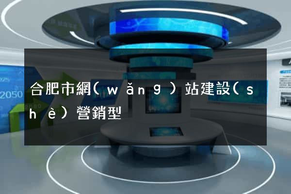 合肥市網(wǎng)站建設(shè)營銷型