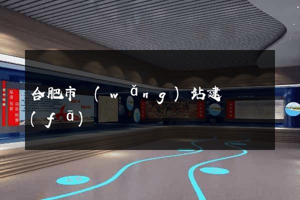合肥市網(wǎng)站建設開發(fā)