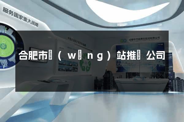 合肥市網(wǎng)站推廣公司