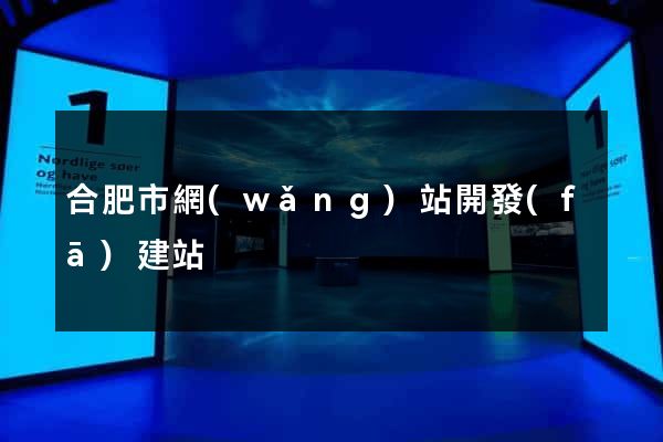 合肥市網(wǎng)站開發(fā)建站