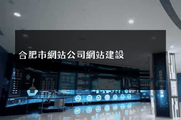 合肥市網站公司網站建設