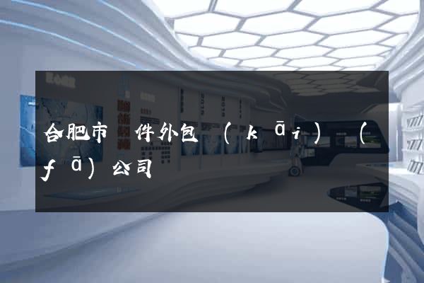 合肥市軟件外包開(kāi)發(fā)公司