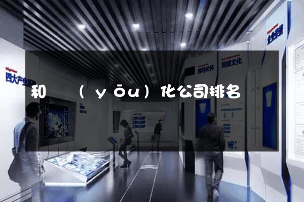 和縣優(yōu)化公司排名