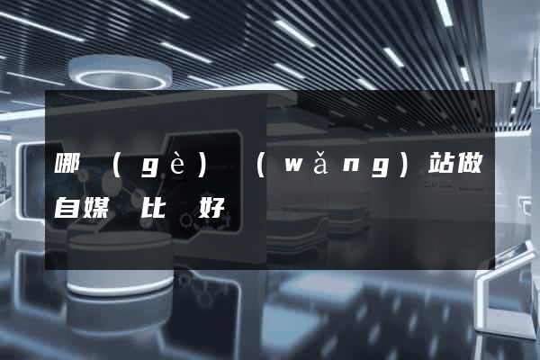 哪個(gè)網(wǎng)站做自媒體比較好