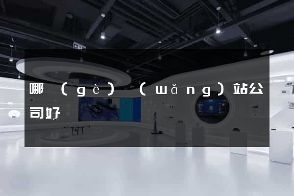 哪個(gè)網(wǎng)站公司好