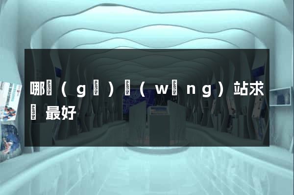哪個(gè)網(wǎng)站求職最好