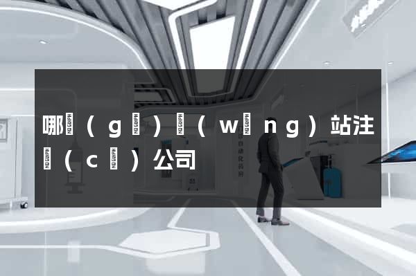 哪個(gè)網(wǎng)站注冊(cè)公司