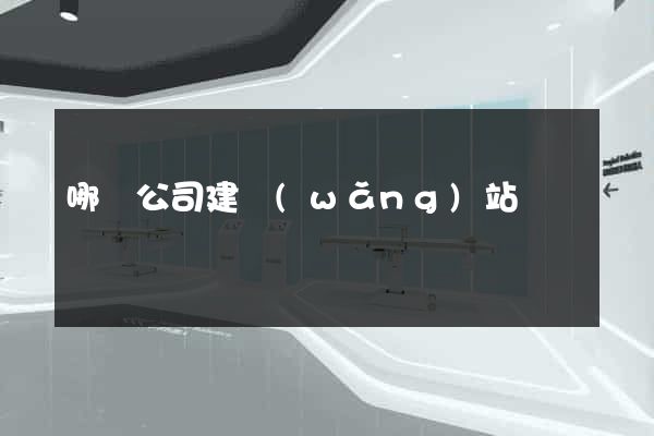 哪個公司建網(wǎng)站