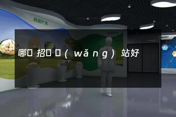哪個招標網(wǎng)站好