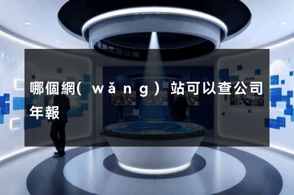 哪個網(wǎng)站可以查公司年報