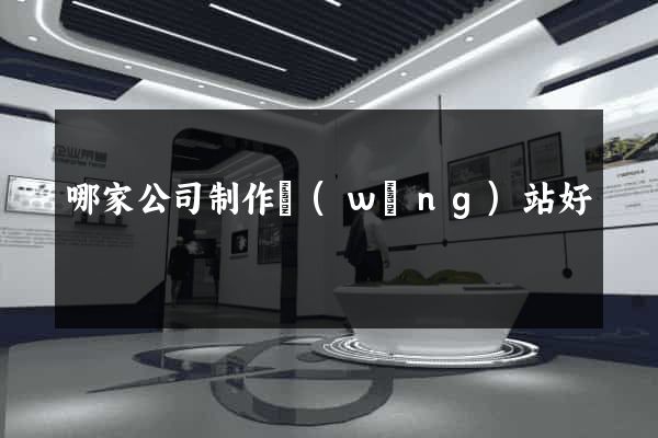 哪家公司制作網(wǎng)站好
