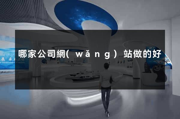 哪家公司網(wǎng)站做的好
