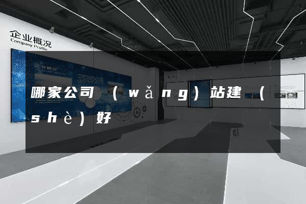 哪家公司網(wǎng)站建設(shè)好