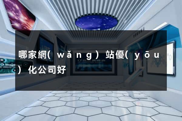 哪家網(wǎng)站優(yōu)化公司好