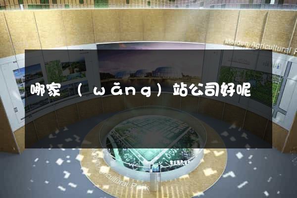 哪家網(wǎng)站公司好呢