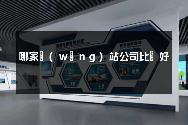 哪家網(wǎng)站公司比較好