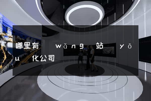 哪里有網(wǎng)站優(yōu)化公司